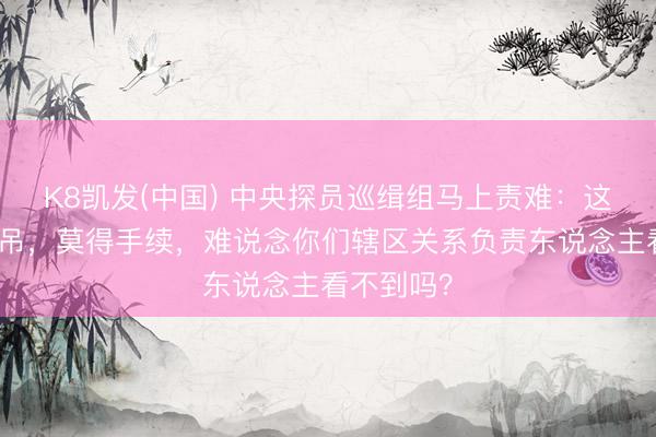 K8凯发(中国) 中央探员巡缉组马上责难:这样高的塔吊,莫得手续,难说念你们辖区关系负责东说念主看不到吗?