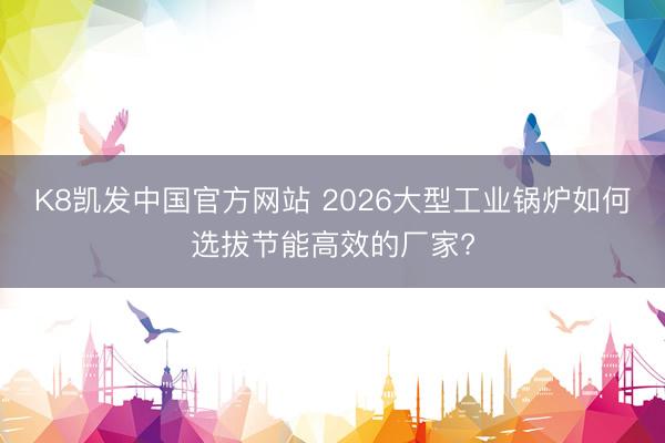 K8凯发中国官方网站 2026大型工业锅炉如何选拔节能高效的厂家?