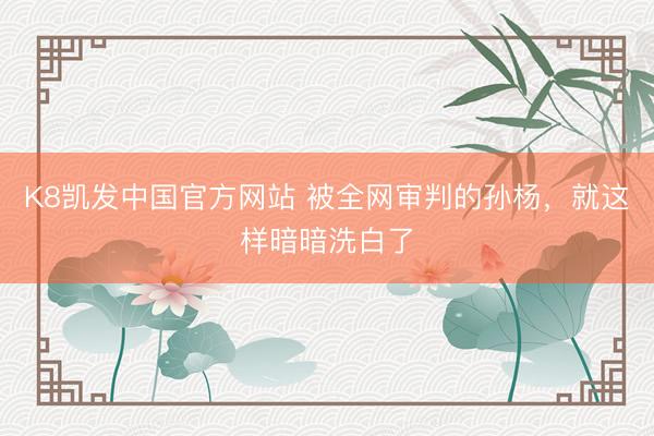K8凯发中国官方网站 被全网审判的孙杨，就这样暗暗洗白了