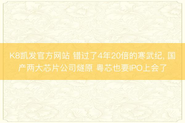 K8凯发官方网站 错过了4年20倍的寒武纪, 国产两大芯片公
