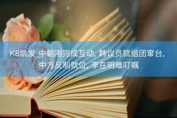 K8凯发 中朝刚完成互动， 韩议员就组团窜台， 中方反制就位， 李在明难叮嘱
